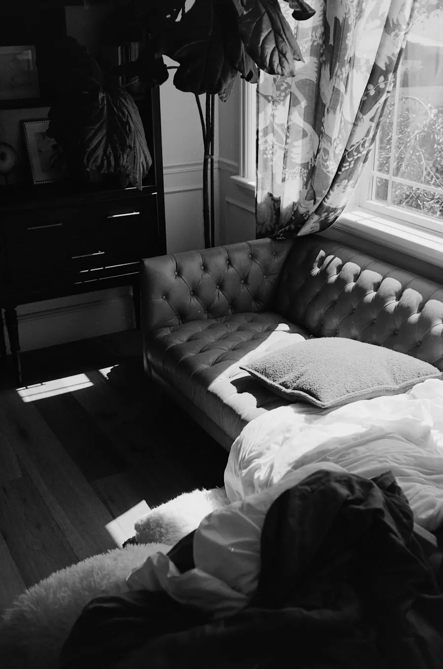 Tufted sofa near a window