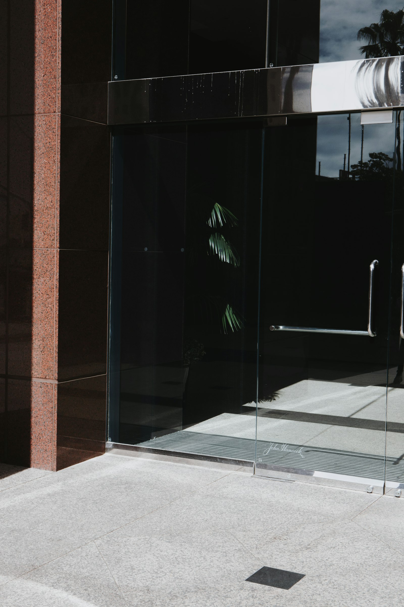 Glass wall and glass door