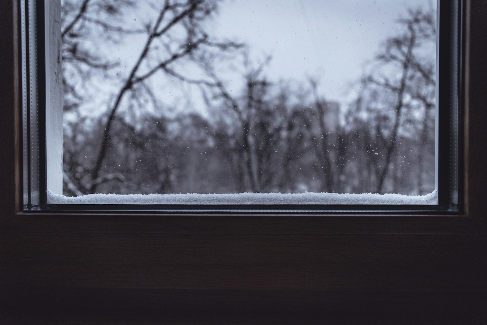 Window with a snowy view
