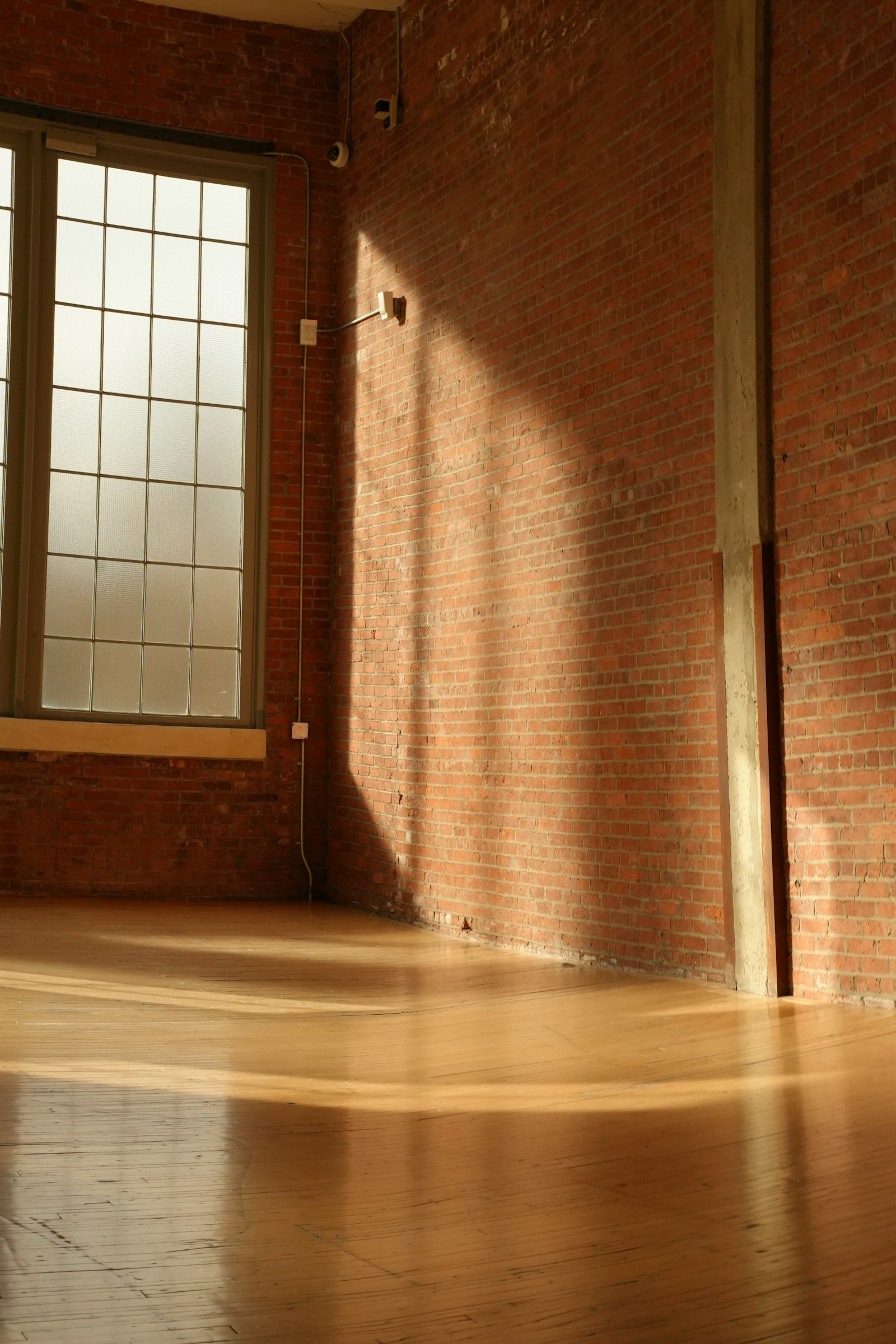 Sunlight streaming into an empty room