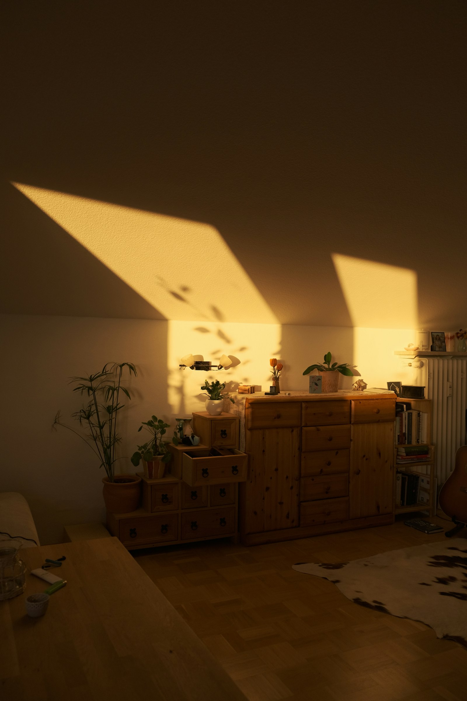 Warm sunlight creating shadows indoors