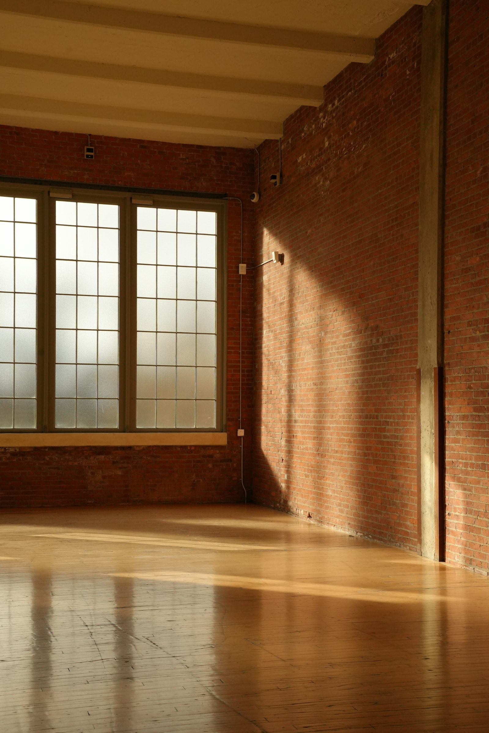 Sunlit interior